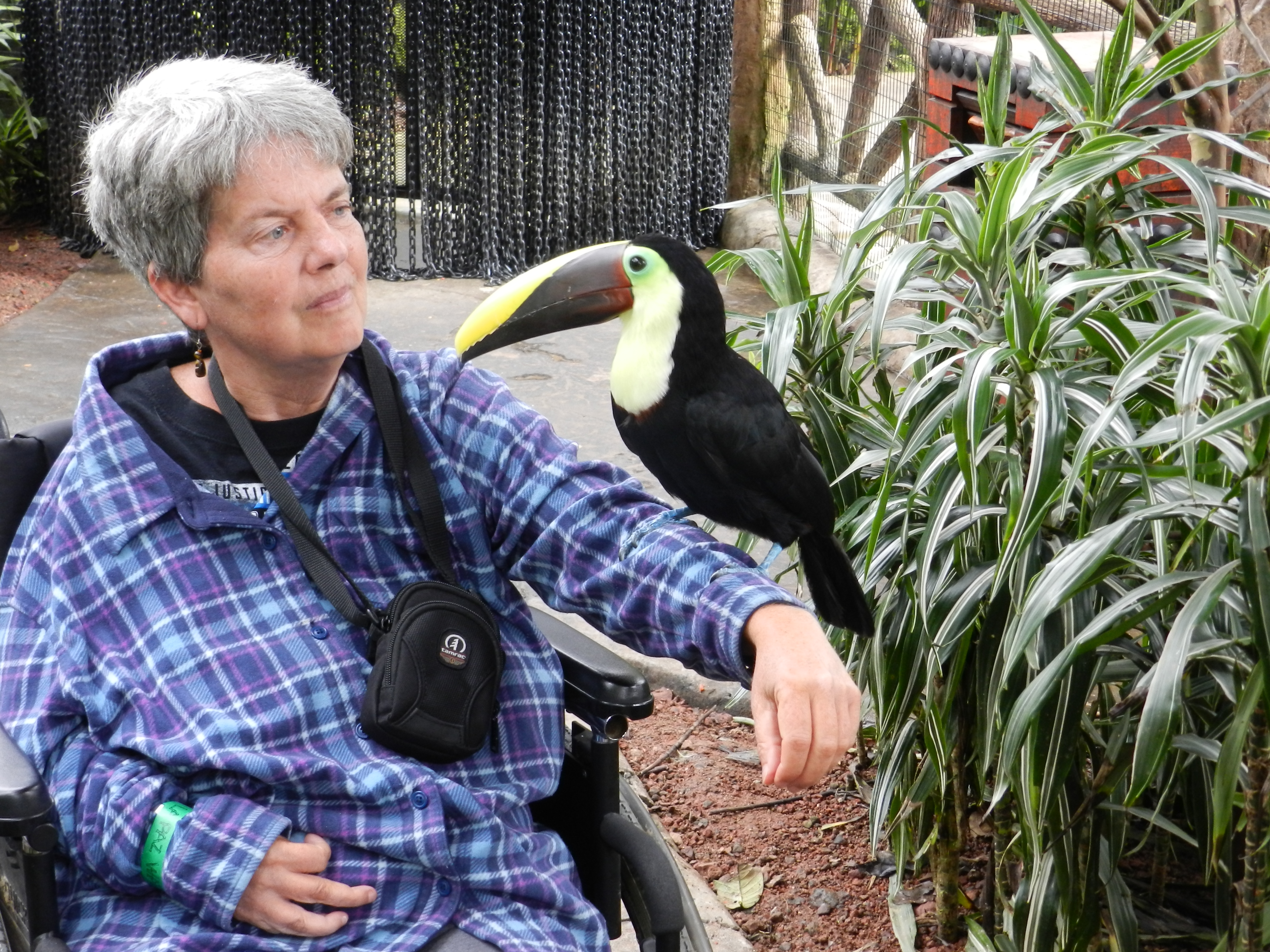 Ann Stark with toucan in Costa Rica