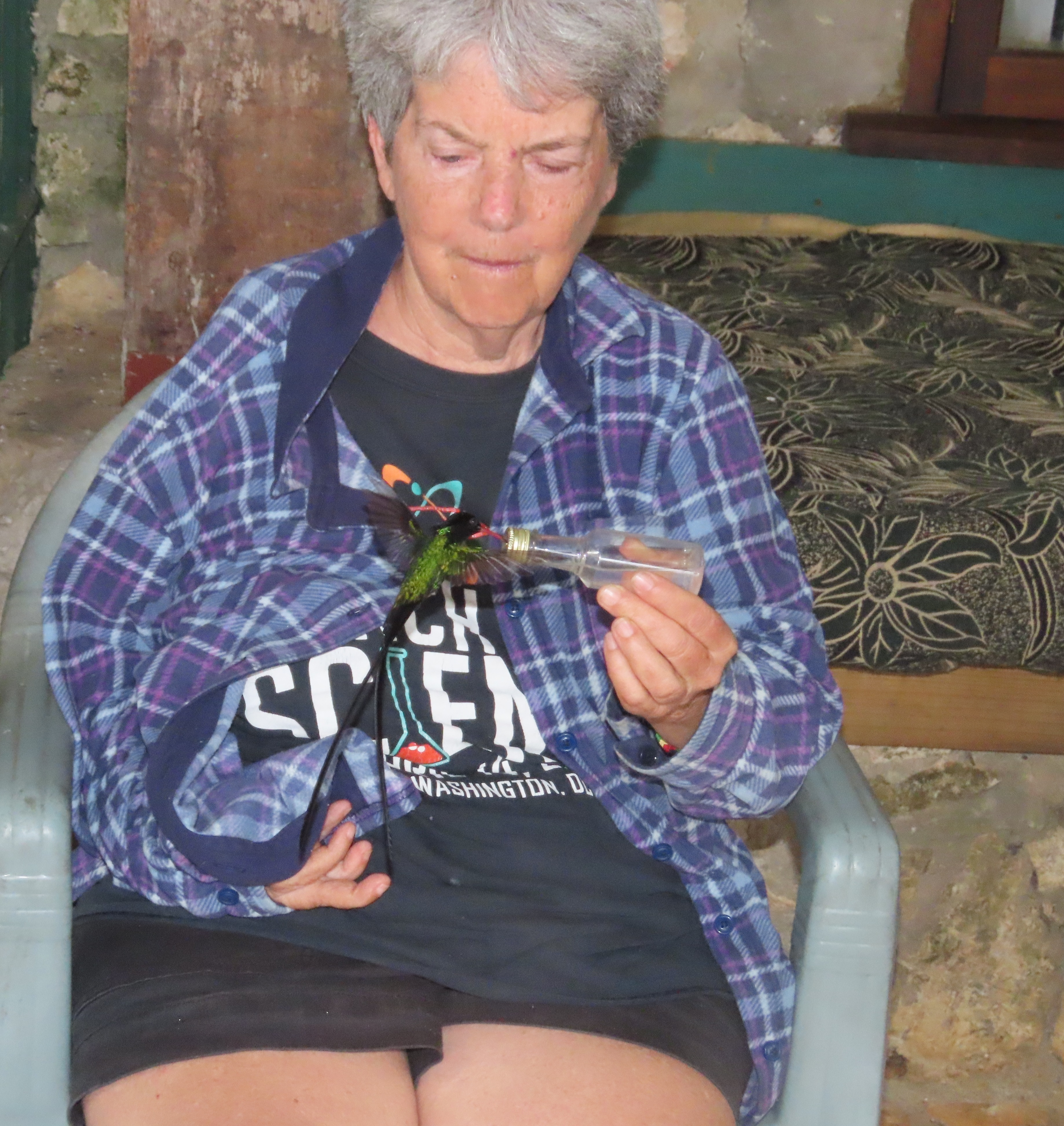 Ann Stark feeding hummingbird in Jamaica