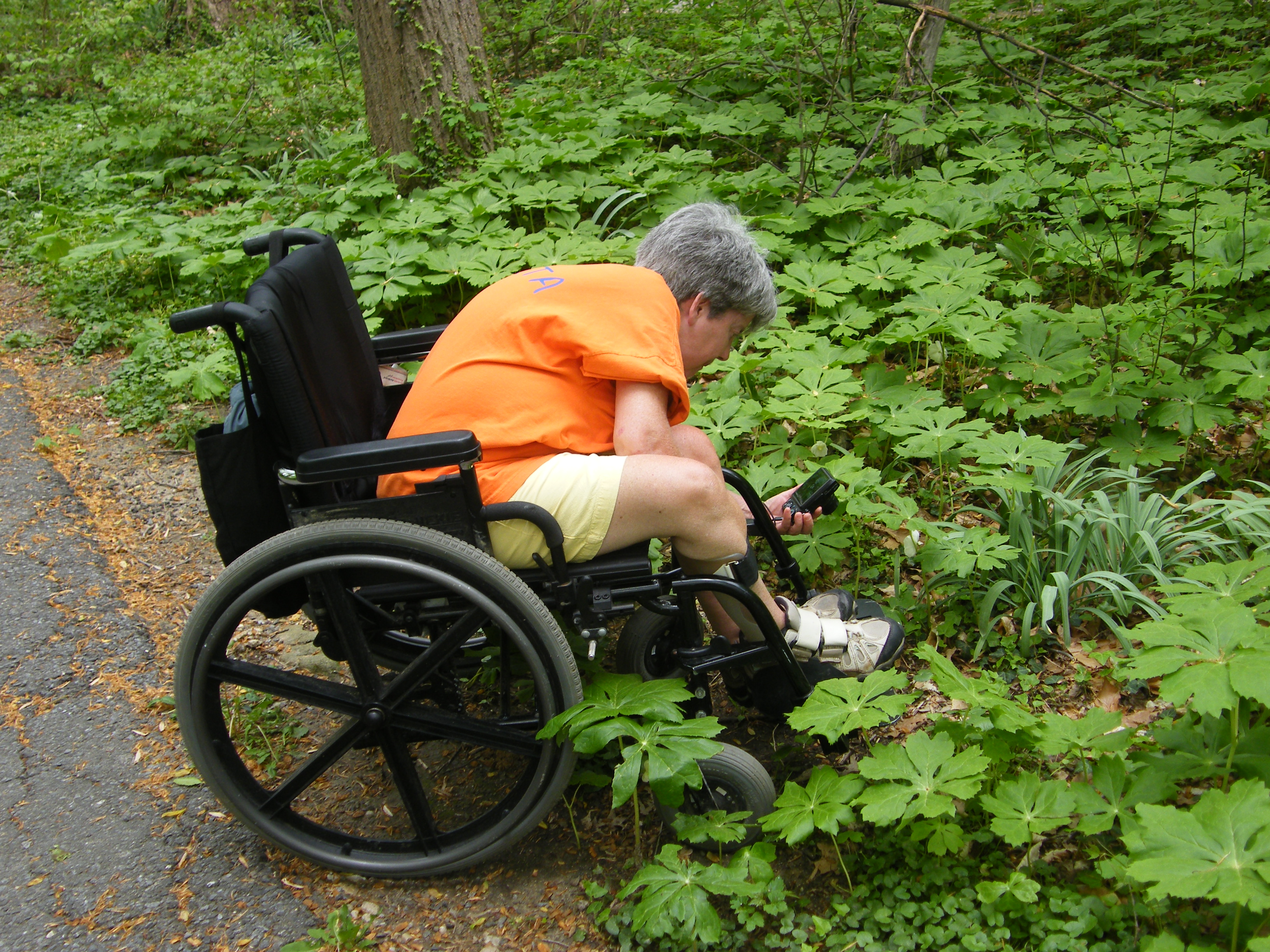 Ann Stark photographing Mayapples